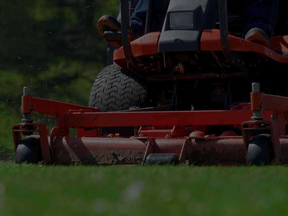 Harwich Commercial Lawn Mowing