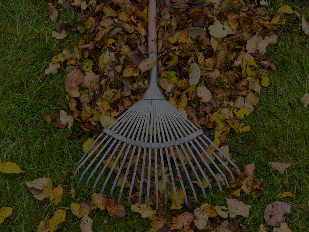 Chatham Commercial Property Maintenance