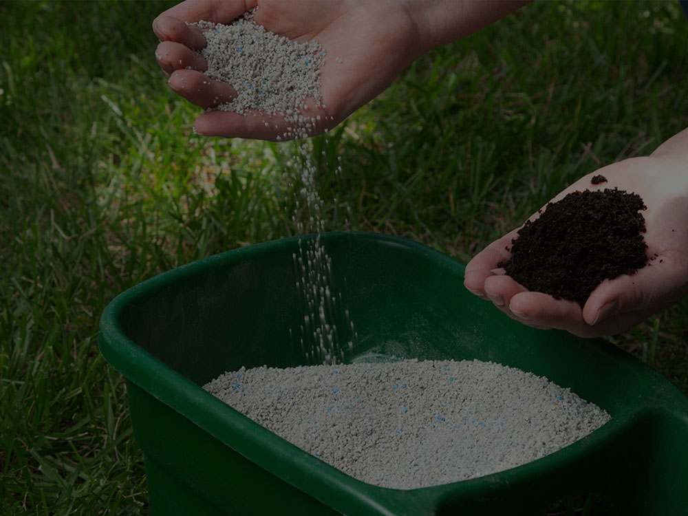 Chatham Fertilization